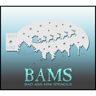 BAM H10
