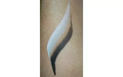 fpa_brush_combo_emu_swatch