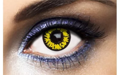 lentilles-blackwolf-1an_501x