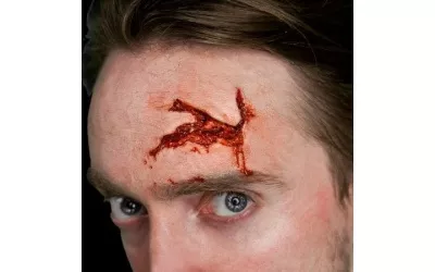 makeup_head_wound-450x450