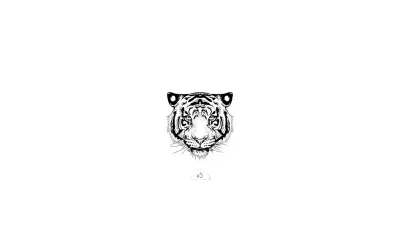 tigre