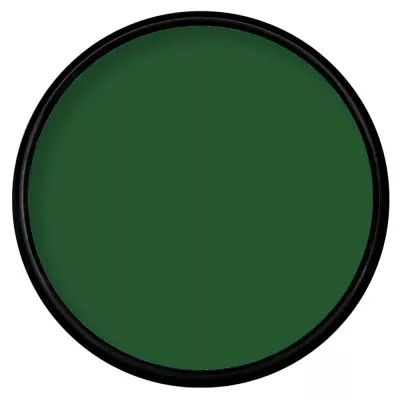 Paradise Makeup AQ - Dark Green